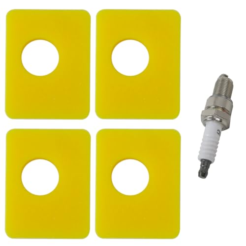 Welsdolk 4pcs 799579 Air Filter with Spark Plug Fit for Briggs and Stratton 550E-550Ex Series 09P000, 08P000 Engine, Lawn Mower Air Cleaner Foam Filter Replaces 4248 5434 799579